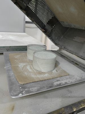 Быстрое леча соль сырья порошка прессформы меламина распыляет SGS сопротивления